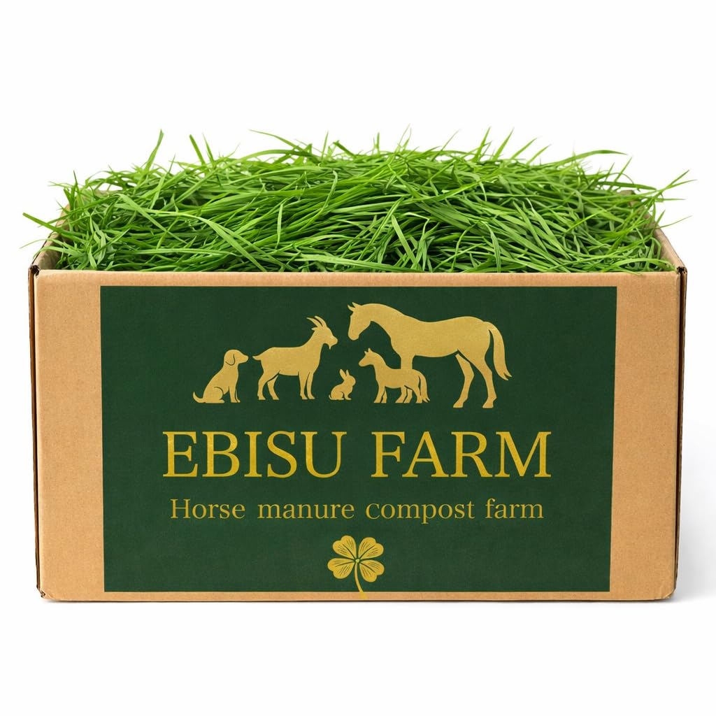 Amazon | 生牧草 国産とれたて 大容量 (イタリアンライグラス